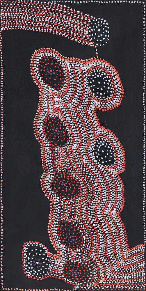 Aboriginal Artwork by Jeani Napangardi Lewis, Mina Mina Jukurrpa - Ngalyipi, 122x61cm