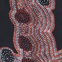 Aboriginal Artwork by Jeani Napangardi Lewis, Mina Mina Jukurrpa - Ngalyipi, 122x61cm