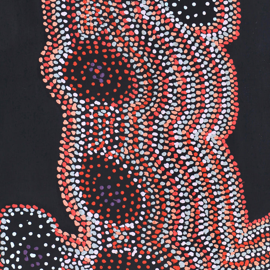 Aboriginal Artwork by Jeani Napangardi Lewis, Mina Mina Jukurrpa - Ngalyipi, 122x61cm