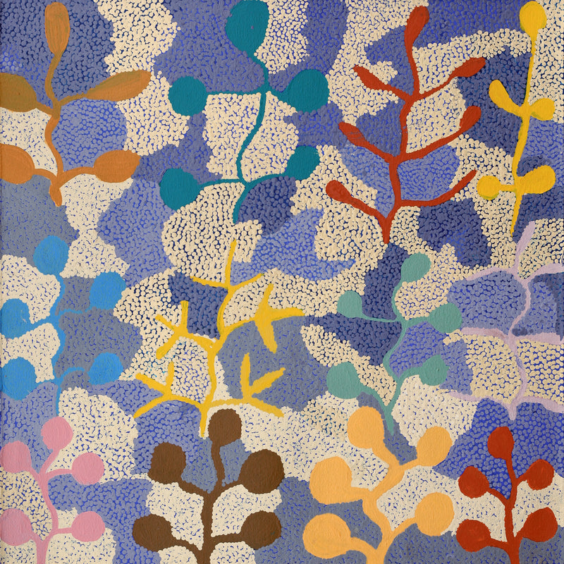 Aboriginal Artwork by Jeannie Wareenie Ross, Bush-flowers and Seeds, 50x50cm