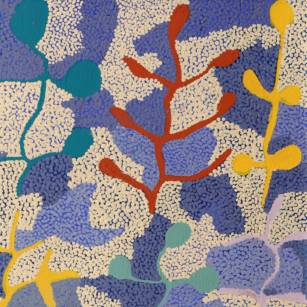 Aboriginal Artwork by Jeannie Wareenie Ross, Bush-flowers and Seeds, 50x50cm