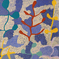 Aboriginal Artwork by Jeannie Wareenie Ross, Bush-flowers and Seeds, 50x50cm