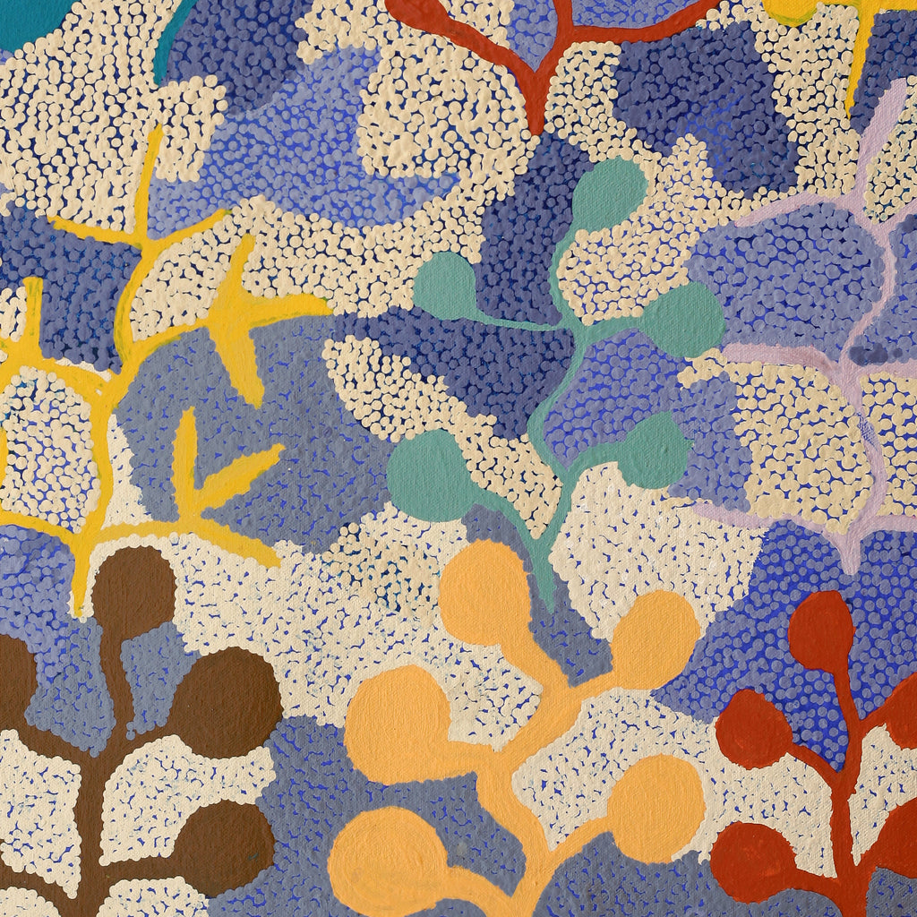 Aboriginal Artwork by Jeannie Wareenie Ross, Bush-flowers and Seeds, 50x50cm