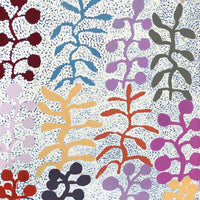 Aboriginal Artwork by Jeannie Wareenie Ross, Bush medicine, 60x30cm