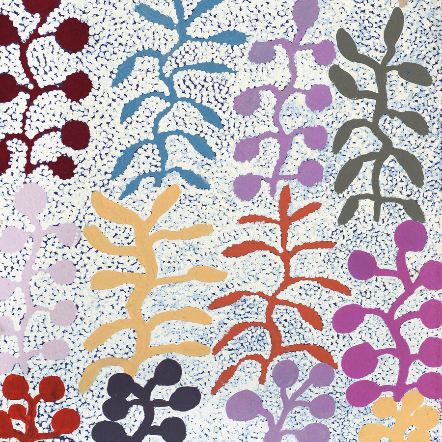 Aboriginal Artwork by Jeannie Wareenie Ross, Bush medicine, 60x30cm