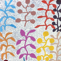 Aboriginal Artwork by Jeannie Wareenie Ross, Bush medicine, 60x30cm