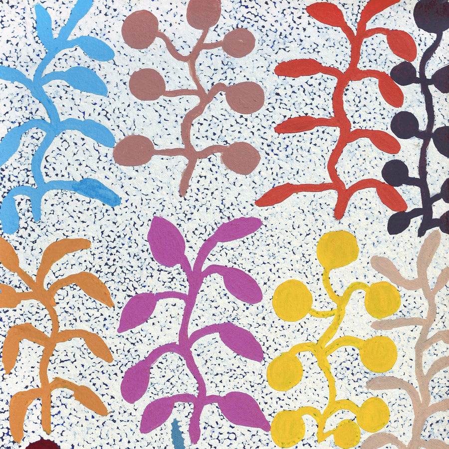 Aboriginal Artwork by Jeannie Wareenie Ross, Bush medicine, 60x30cm