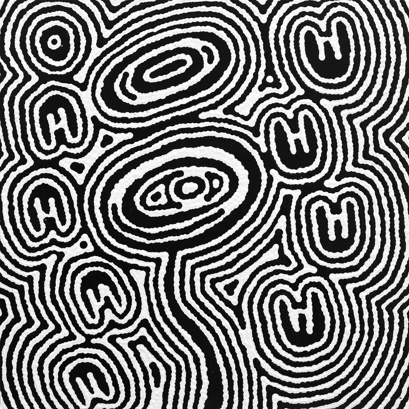Aboriginal Artwork by Janelle Napurrurla Wilson, Janganpa Jukurrpa (Brush-tail Possum Dreaming) - Mawurrji, 30x30cm