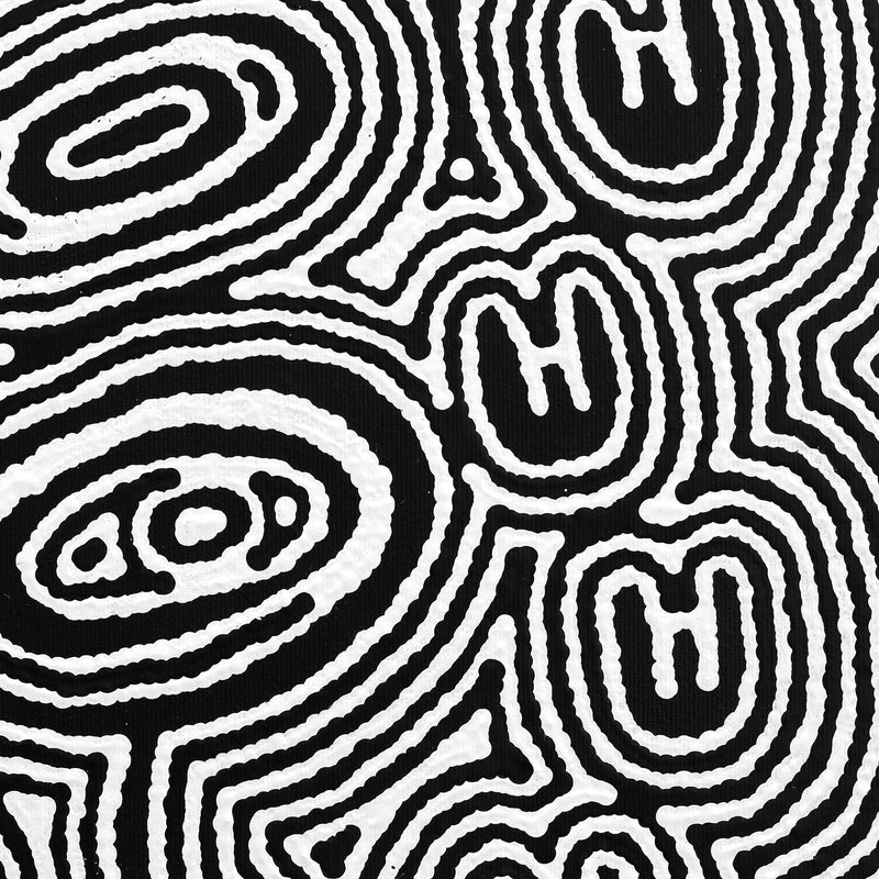 Aboriginal Artwork by Janelle Napurrurla Wilson, Janganpa Jukurrpa (Brush-tail Possum Dreaming) - Mawurrji, 30x30cm