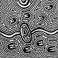 Aboriginal Artwork by Janelle Napurrurla Wilson, Janganpa Jukurrpa (Brush-tail Possum Dreaming) - Mawurrji, 30x30cm