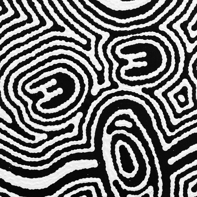 Aboriginal Artwork by Janelle Napurrurla Wilson, Janganpa Jukurrpa (Brush-tail Possum Dreaming) - Mawurrji, 30x30cm