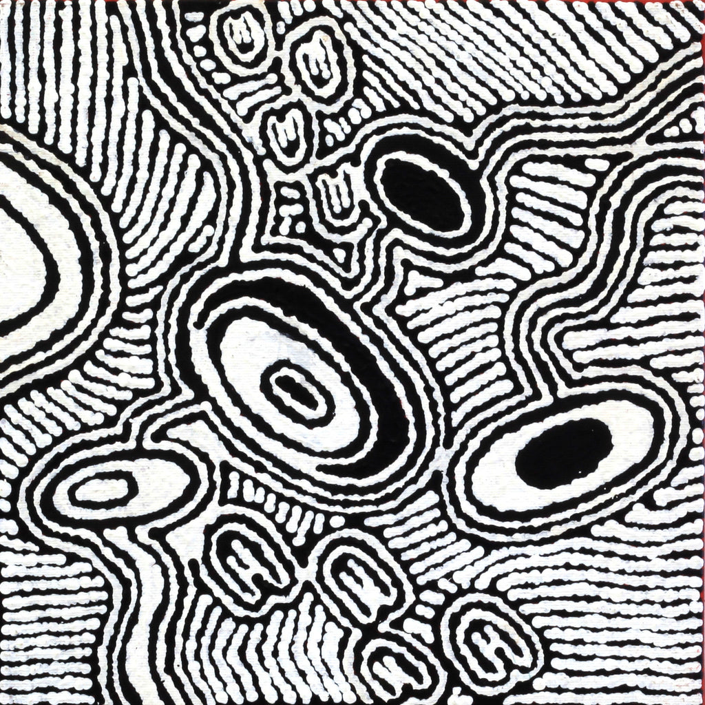 Aboriginal Artwork by Janelle Napurrurla Wilson, Janganpa Jukurrpa (Brush-tail Possum Dreaming)- Mawurrji, 30x30cm