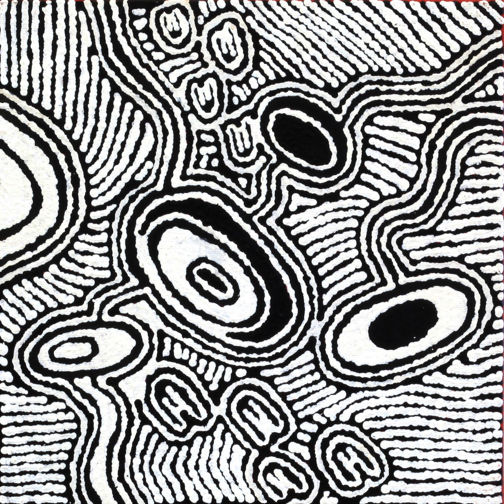 Aboriginal Artwork by Janelle Napurrurla Wilson, Janganpa Jukurrpa (Brush-tail Possum Dreaming)-  Mawurrji, 30x30cm - ART ARK®