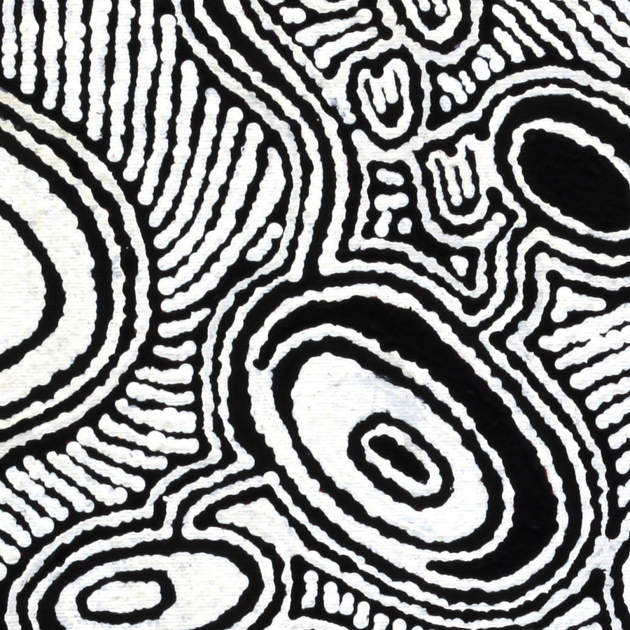 Aboriginal Artwork by Janelle Napurrurla Wilson, Janganpa Jukurrpa (Brush-tail Possum Dreaming)- Mawurrji, 30x30cm
