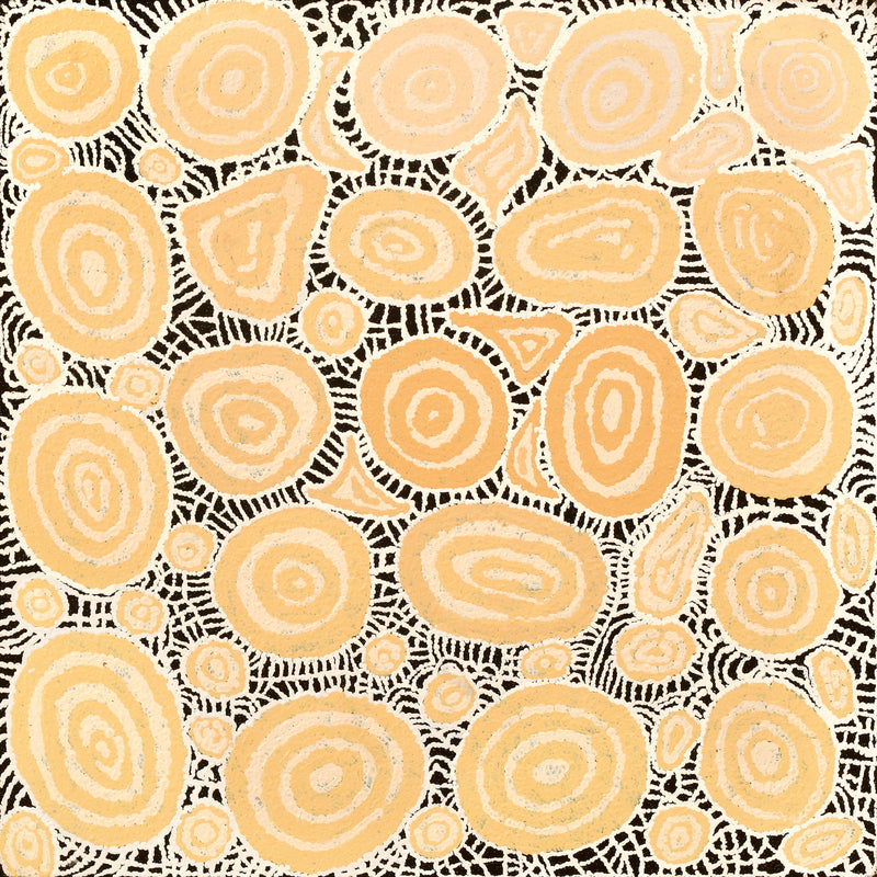 Aboriginal Artwork by Jennifer Forbes, Tjukula Tjuta, 91x91cm