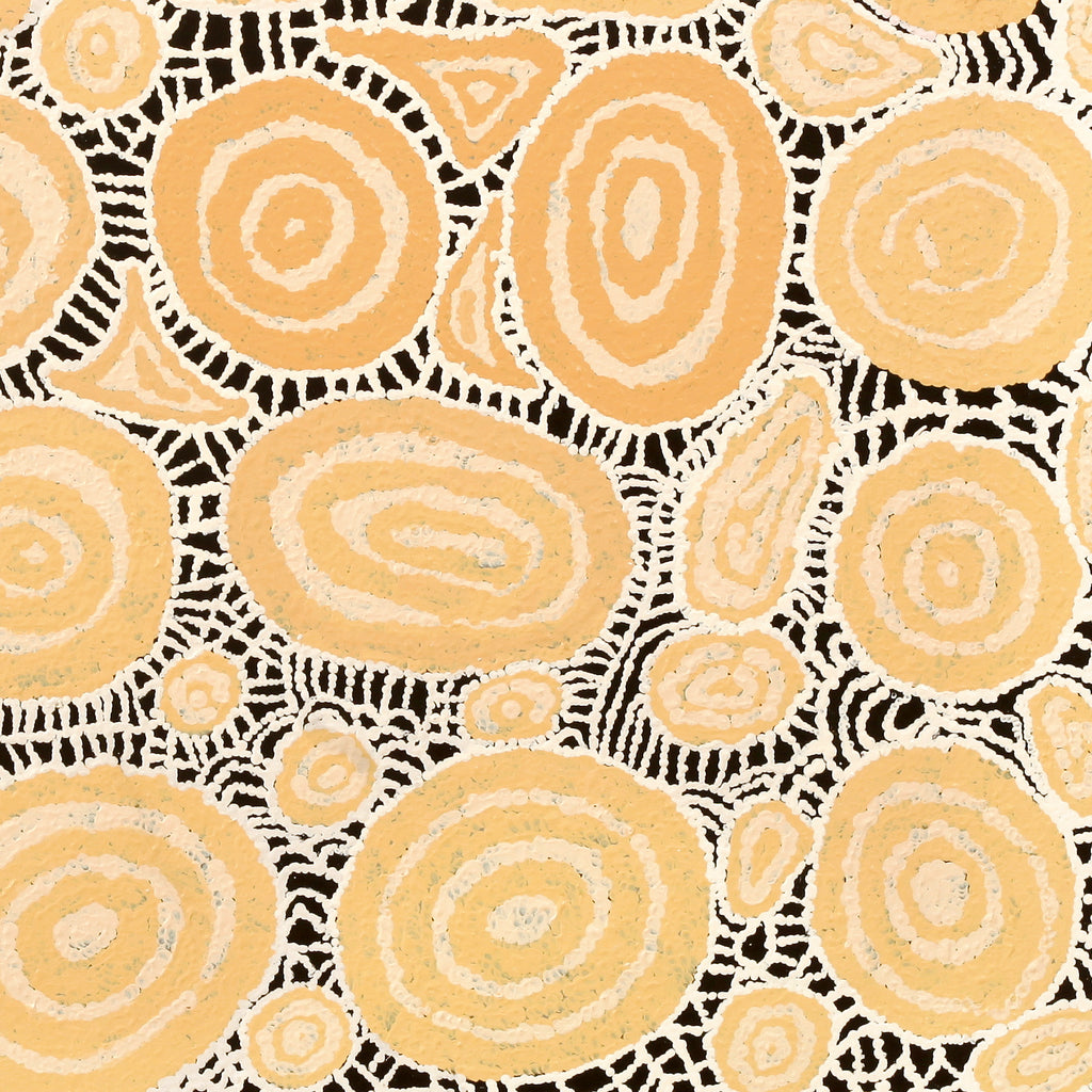 Aboriginal Artwork by Jennifer Forbes, Tjukula Tjuta, 91x91cm