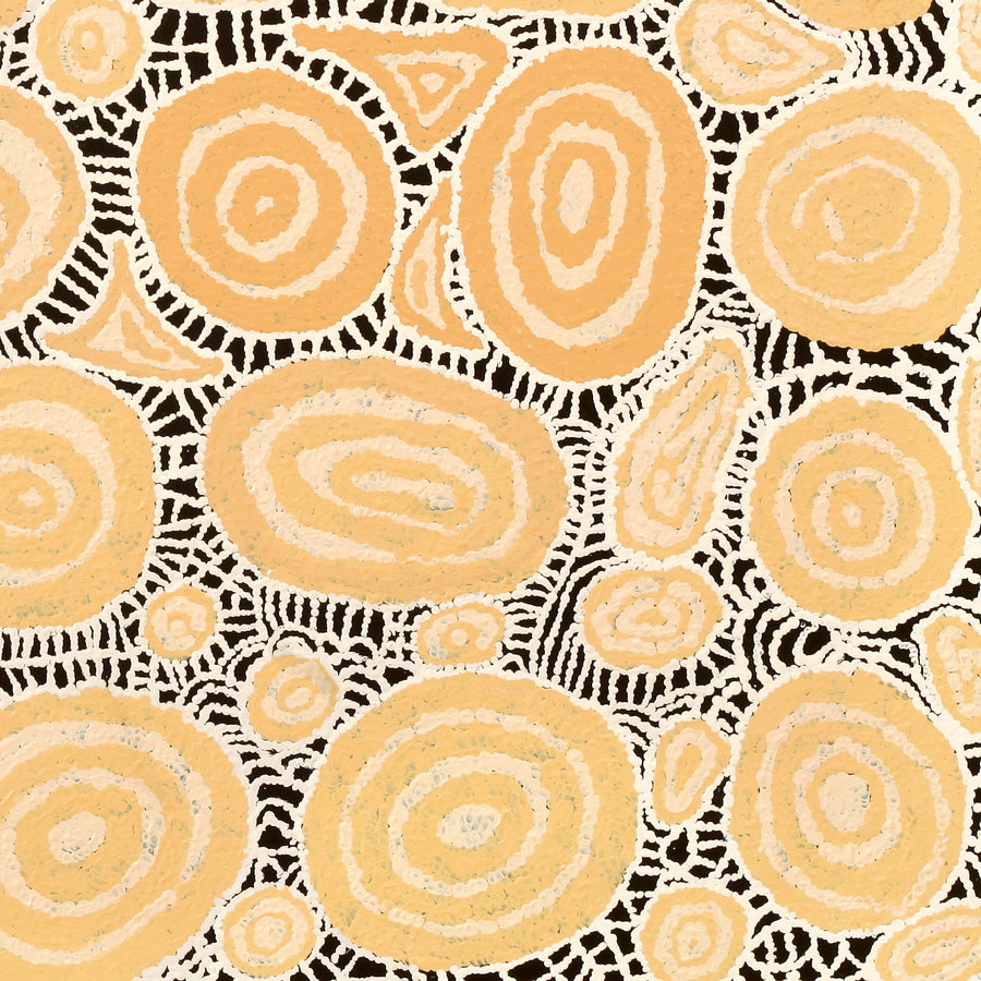 Aboriginal Artwork by Jennifer Forbes, Tjukula Tjuta, 91x91cm