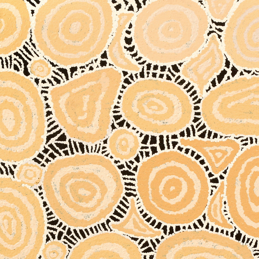 Aboriginal Artwork by Jennifer Forbes, Tjukula Tjuta, 91x91cm