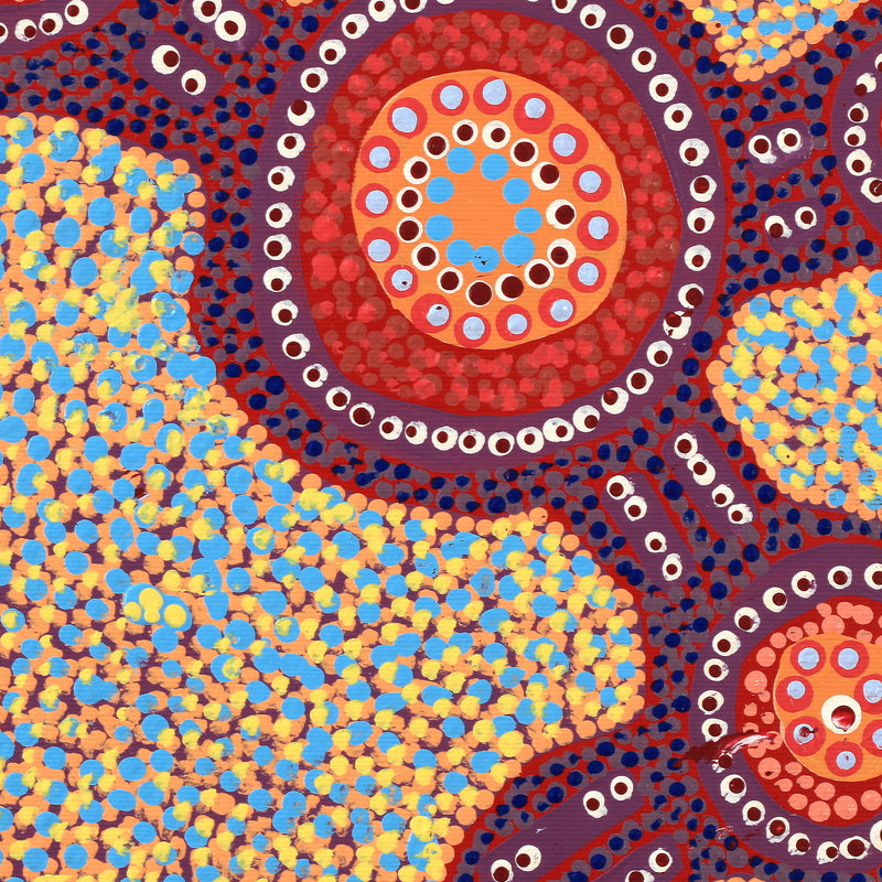 Aboriginal Artwork by Jennifer Napaljarri Lewis, Ngapa Jukurrpa (Water Dreaming) - Puyurru, 30x30cm