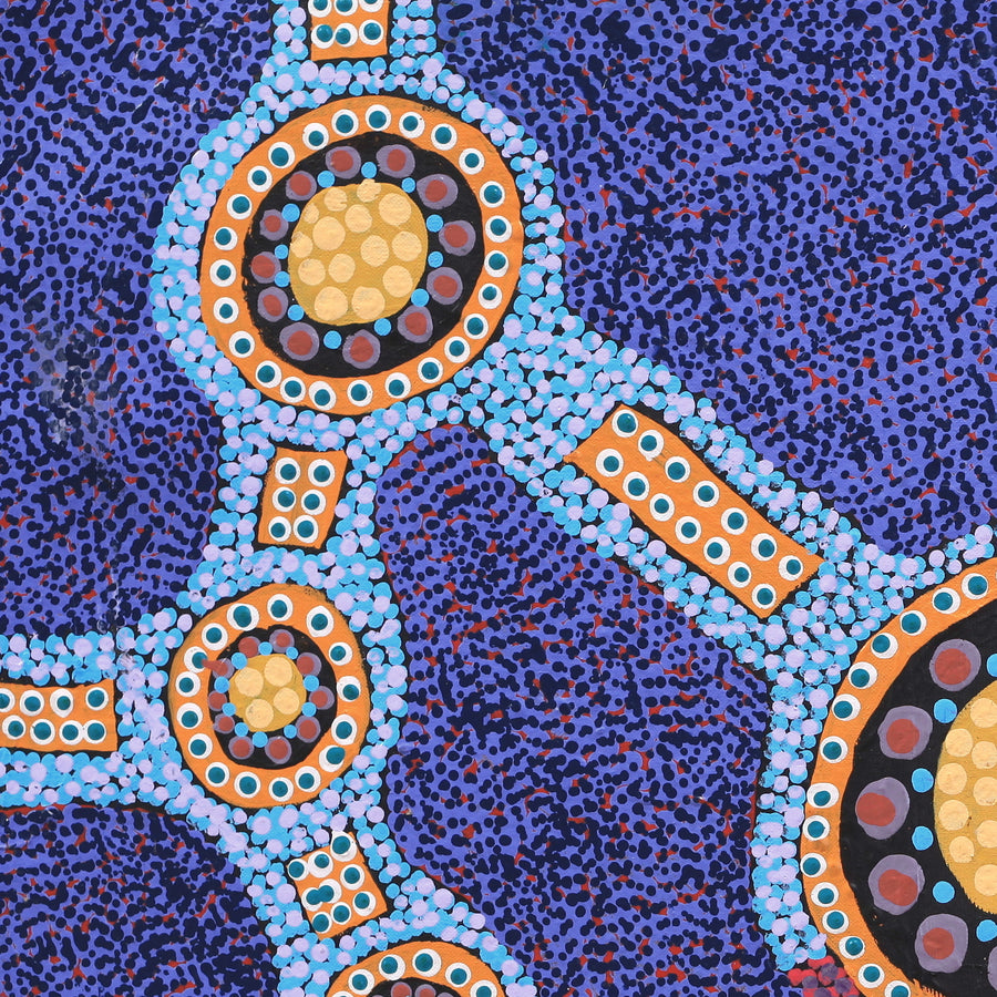 Aboriginal Artwork by Jennifer Napaljarri Lewis, Ngapa Jukurrpa (Water Dreaming) - Puyurru, 61x46cm
