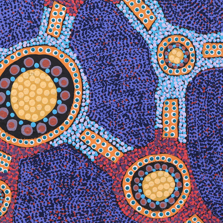 Aboriginal Artwork by Jennifer Napaljarri Lewis, Ngapa Jukurrpa (Water Dreaming) - Puyurru, 61x46cm