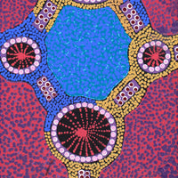 Aboriginal Artwork by Jennifer Napaljarri Lewis, Ngapa Jukurrpa (Water Dreaming) - Puyurru, 76x30cm