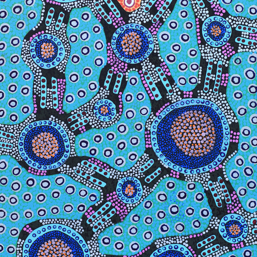 Aboriginal Artwork by Jennifer Napaljarri Lewis, Lukarrara Jukurrpa, 107x46cm