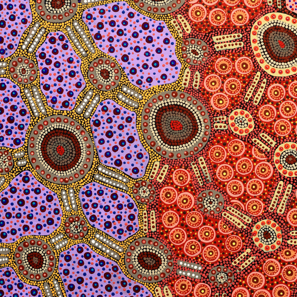 Aboriginal Artwork by Jennifer Napaljarri Lewis, Lukarrara Jukurrpa, 107x76cm