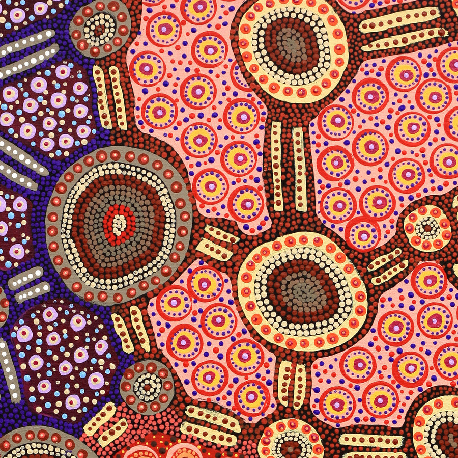 Aboriginal Artwork by Jennifer Napaljarri Lewis, Lukarrara Jukurrpa, 107x76cm