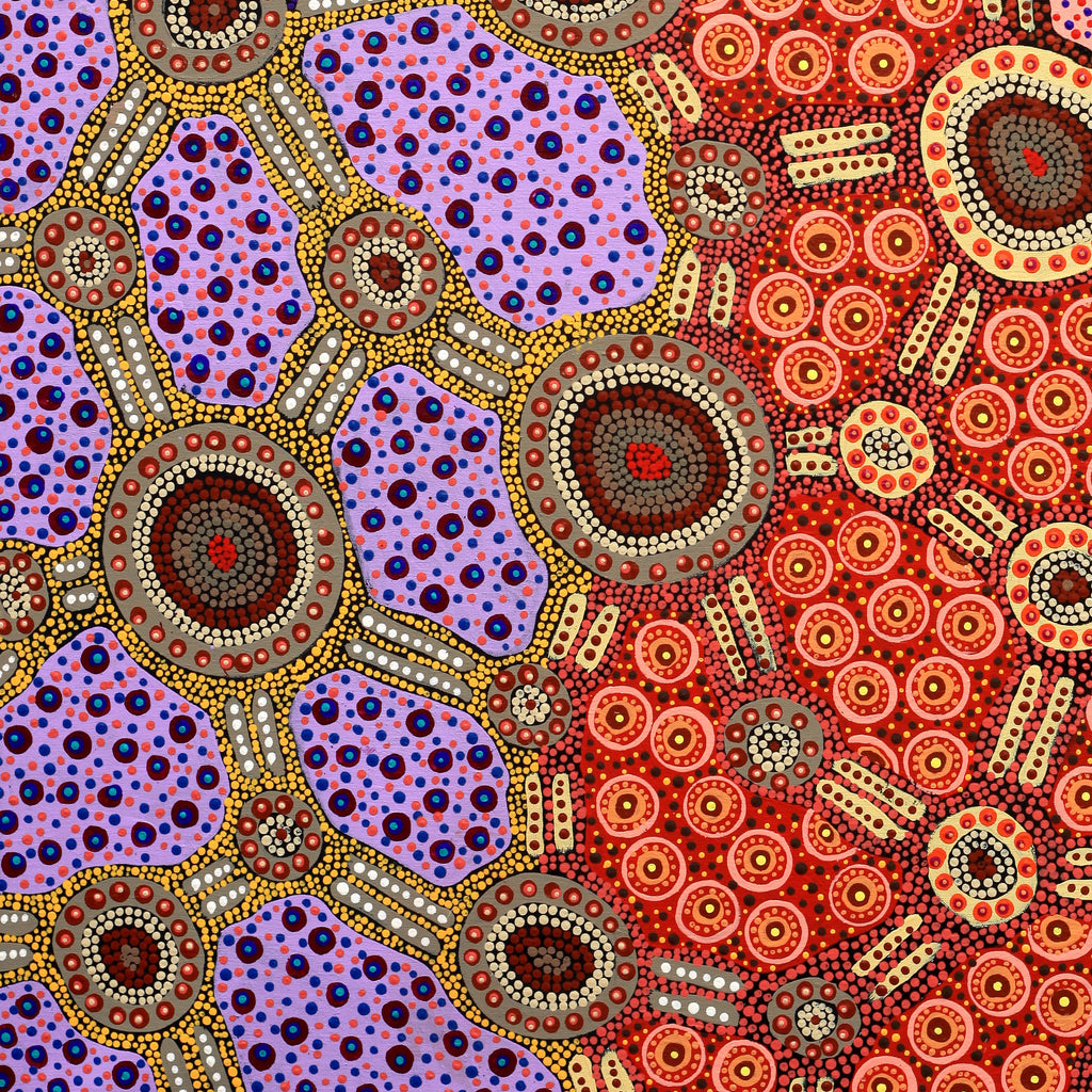 Aboriginal Artwork by Jennifer Napaljarri Lewis, Lukarrara Jukurrpa, 107x76cm - ART ARK®