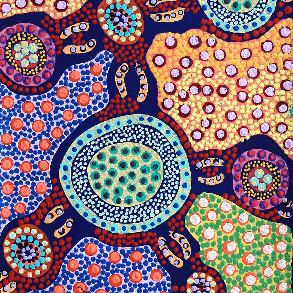 Aboriginal Artwork by Jennifer Napaljarri Lewis, Lukarrara Jukurrpa, 152x30cm