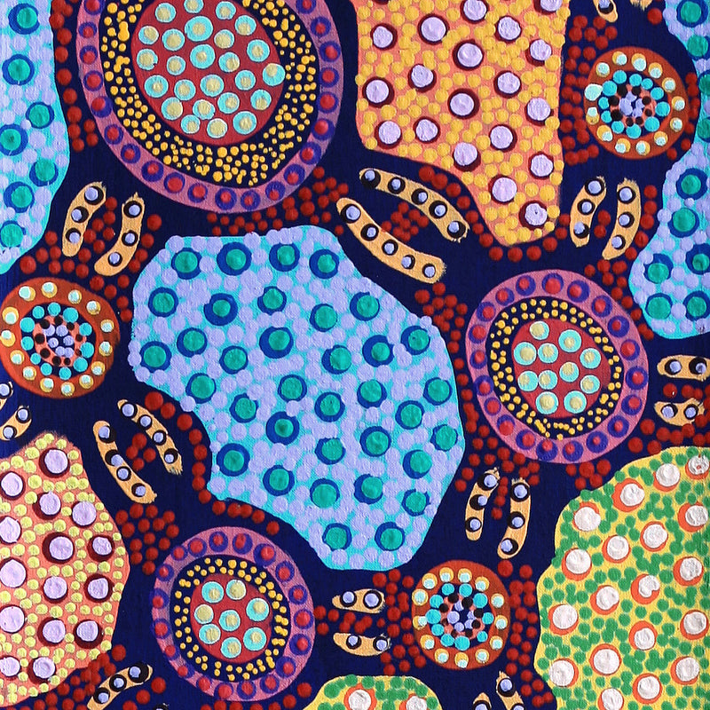 Aboriginal Artwork by Jennifer Napaljarri Lewis, Lukarrara Jukurrpa, 152x30cm