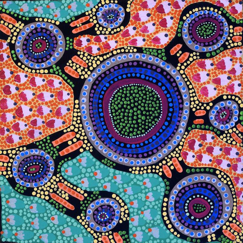 Aboriginal Artwork by Jennifer Napaljarri Lewis, Lukarrara Jukurrpa, 30x30cm