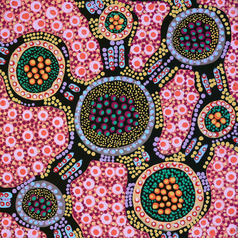 Aboriginal Artwork by Jennifer Napaljarri Lewis, Lukarrara Jukurrpa, 30x30cm