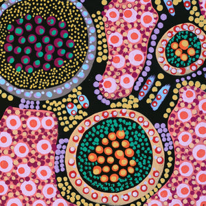 Aboriginal Art by Jennifer Napaljarri Lewis, Lukarrara Jukurrpa, 30x30cm - ART ARK®