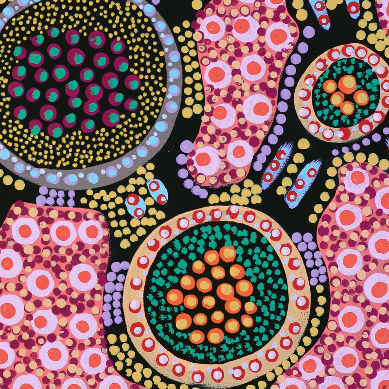 Aboriginal Artwork by Jennifer Napaljarri Lewis, Lukarrara Jukurrpa, 30x30cm