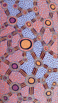 Aboriginal Artwork by Jennifer Napaljarri Lewis, Lukarrara Jukurrpa, 107x61cm