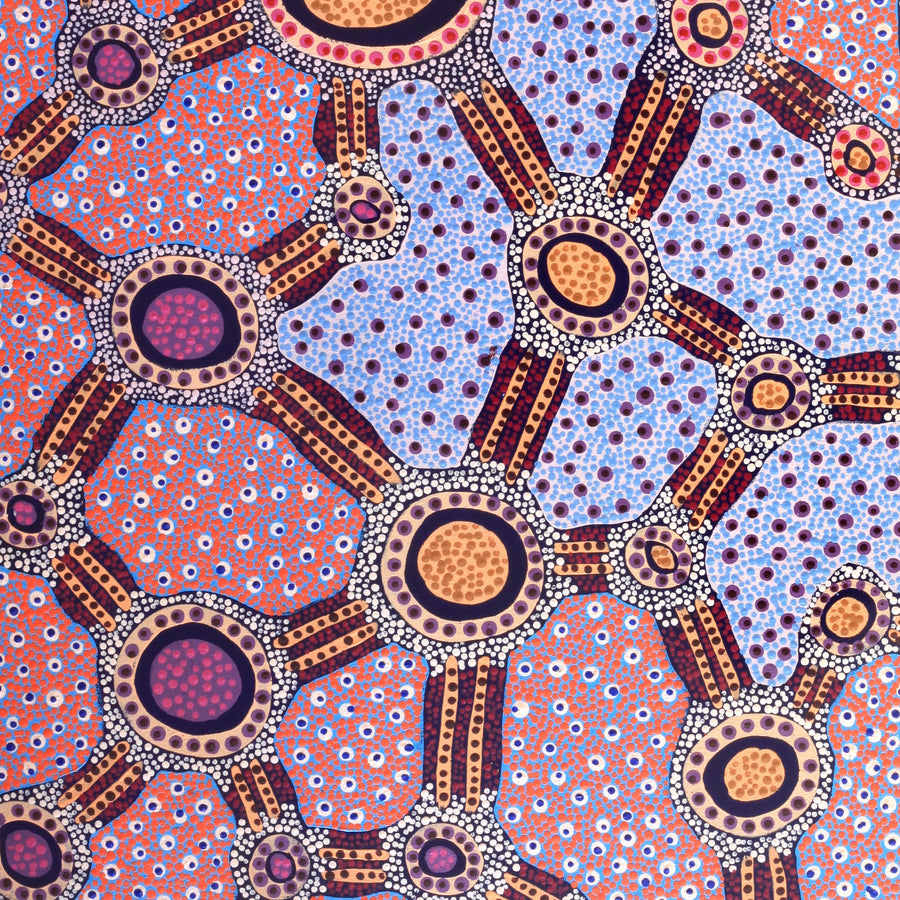 Aboriginal Artwork by Jennifer Napaljarri Lewis, Lukarrara Jukurrpa, 107x61cm