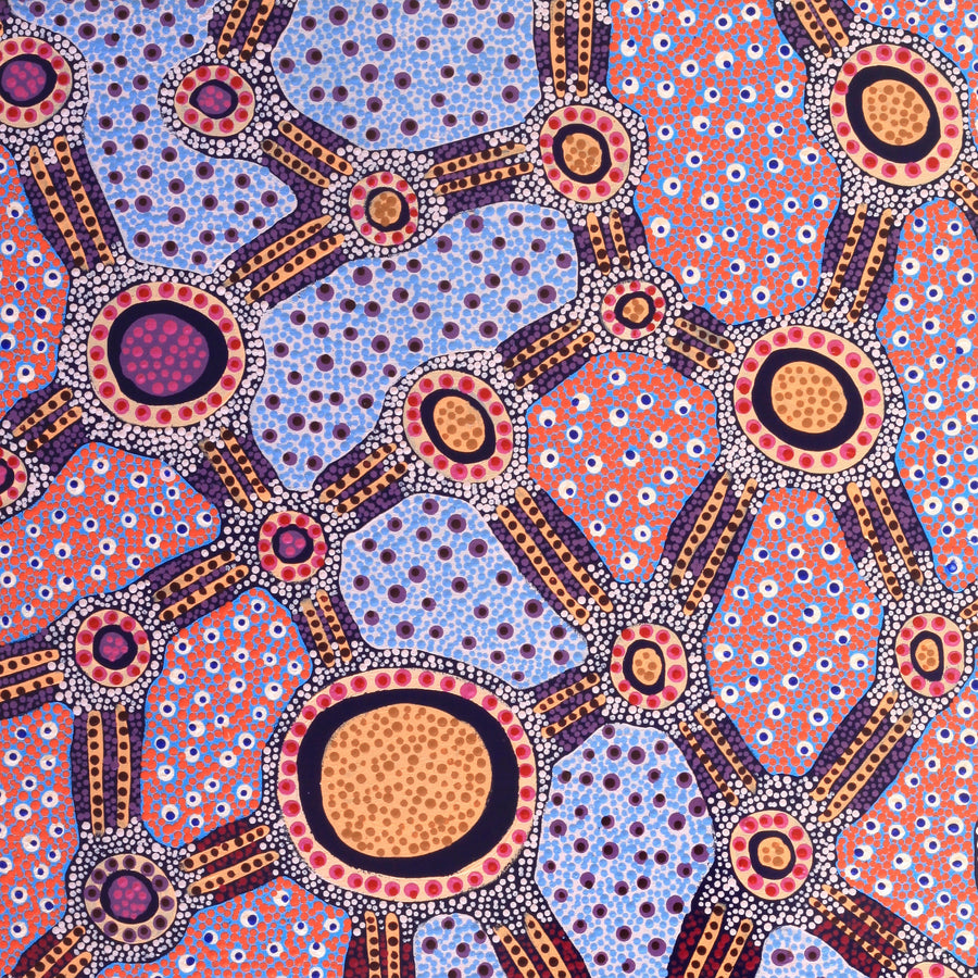 Aboriginal Artwork by Jennifer Napaljarri Lewis, Lukarrara Jukurrpa, 107x61cm