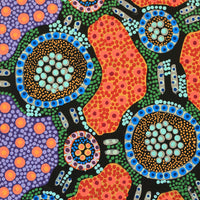Aboriginal Artwork by Jennifer Napaljarri Lewis, Lukarrara Jukurrpa, 61x30cm