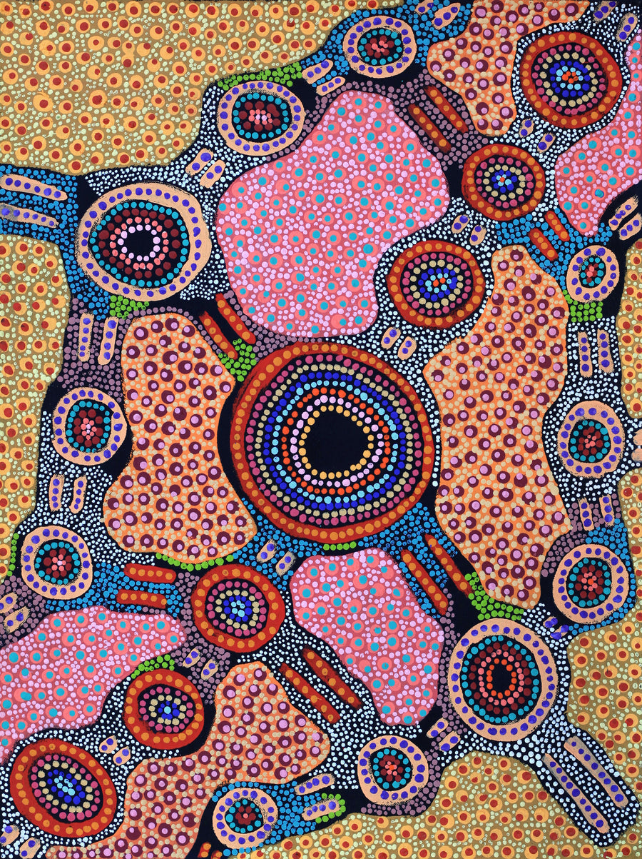 Aboriginal Artwork by Jennifer Napaljarri Lewis, Lukarrara Jukurrpa, 61x46cm