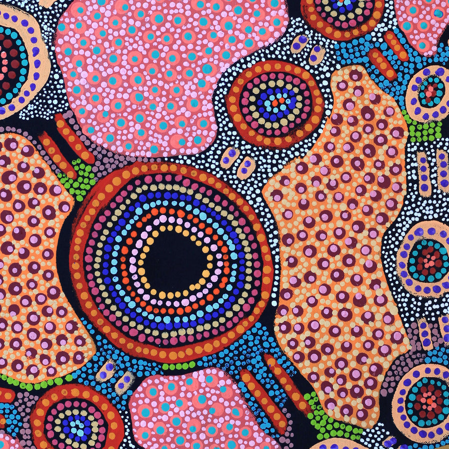 Aboriginal Artwork by Jennifer Napaljarri Lewis, Lukarrara Jukurrpa, 61x46cm