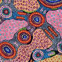 Aboriginal Artwork by Jennifer Napaljarri Lewis, Lukarrara Jukurrpa, 61x46cm
