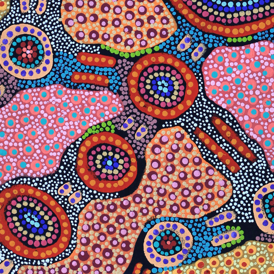 Aboriginal Artwork by Jennifer Napaljarri Lewis, Lukarrara Jukurrpa, 61x46cm