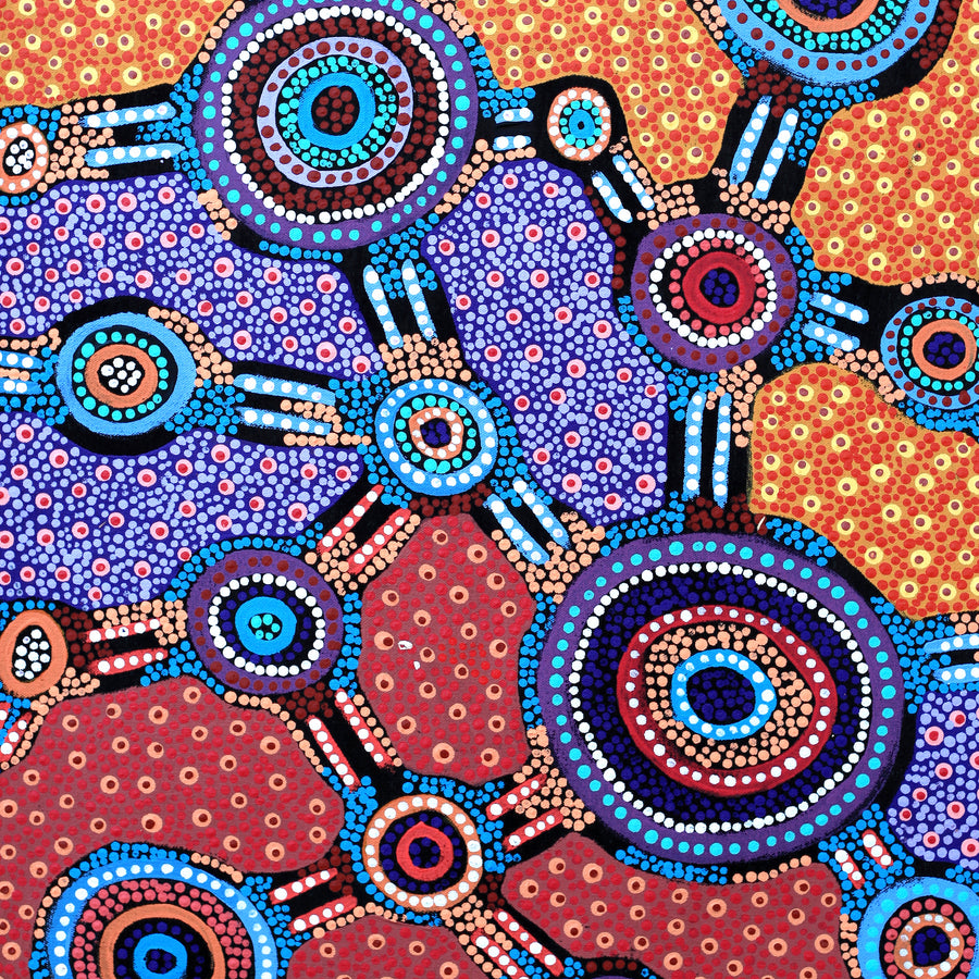 Aboriginal Artwork by Jennifer Napaljarri Lewis, Lukarrara Jukurrpa, 61x46cm