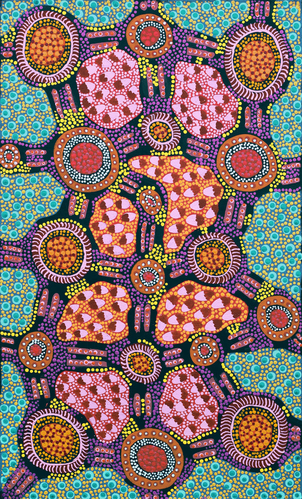 Aboriginal Artwork by Jennifer Napaljarri Lewis, Lukarrara Jukurrpa, 76x46cm