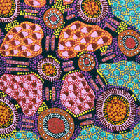 Aboriginal Artwork by Jennifer Napaljarri Lewis, Lukarrara Jukurrpa, 76x46cm