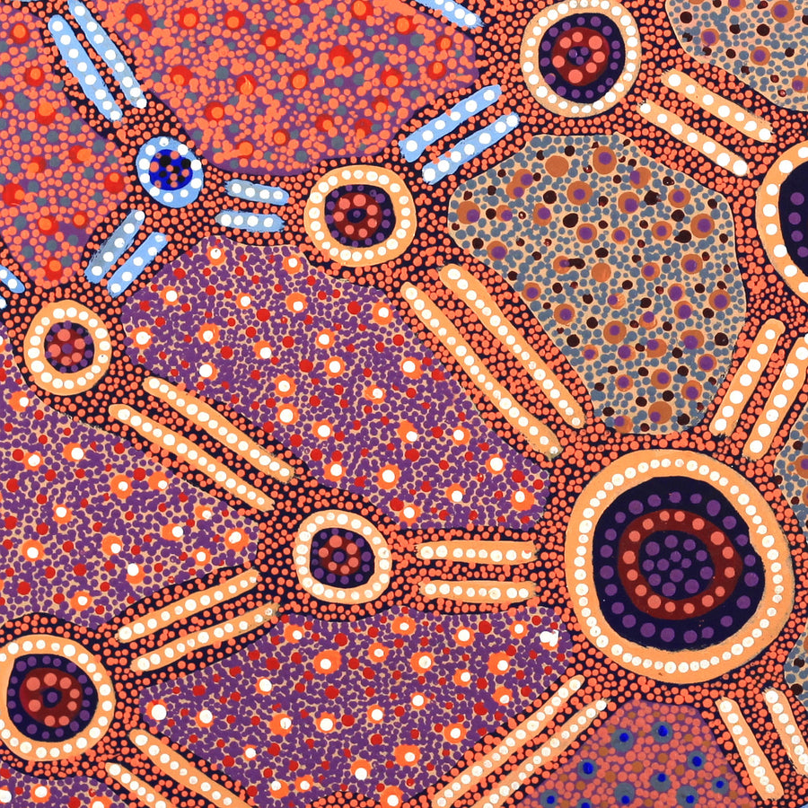 Aboriginal Artwork by Jennifer Napaljarri Lewis, Lukarrara Jukurrpa, 76x76cm