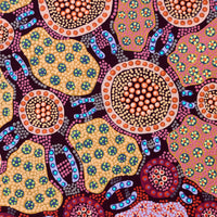 Aboriginal Artwork by Jennifer Napaljarri Lewis, Lukarrara Jukurrpa, 91x46cm