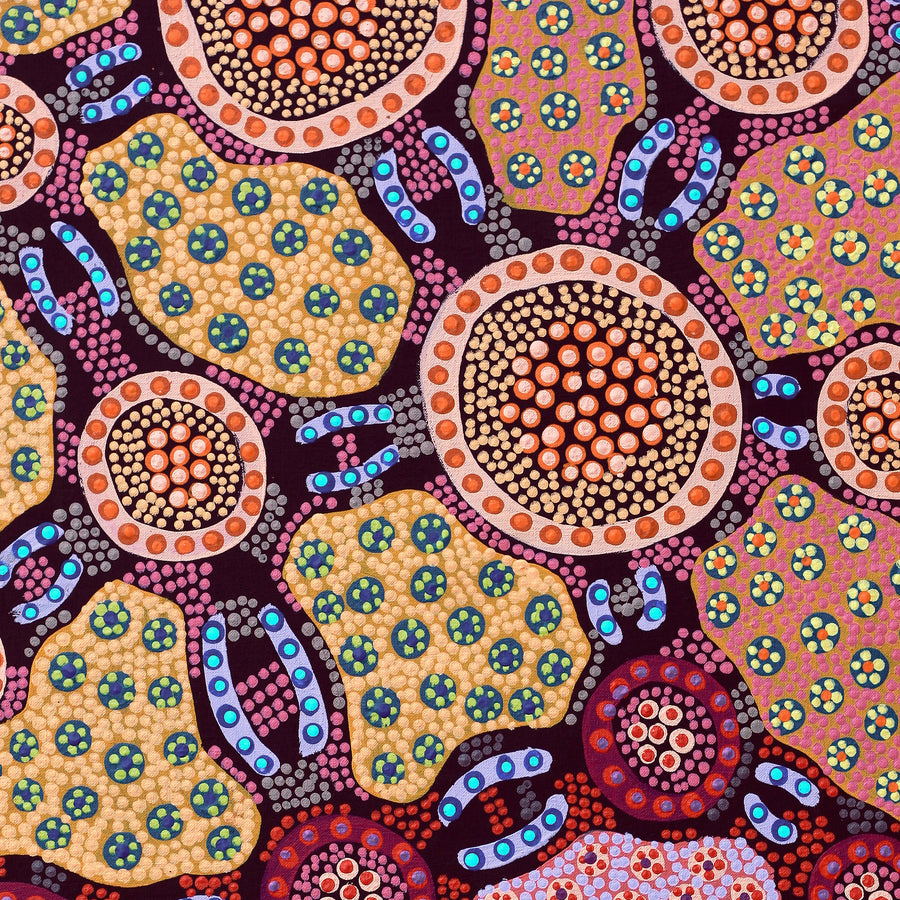 Aboriginal Artwork by Jennifer Napaljarri Lewis, Lukarrara Jukurrpa, 91x46cm
